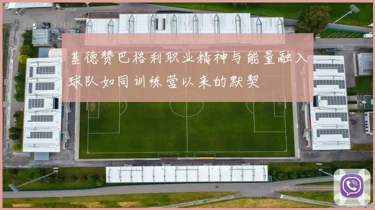 基德赞巴格利职业精神与能量融入球队如同训练营以来的默契
