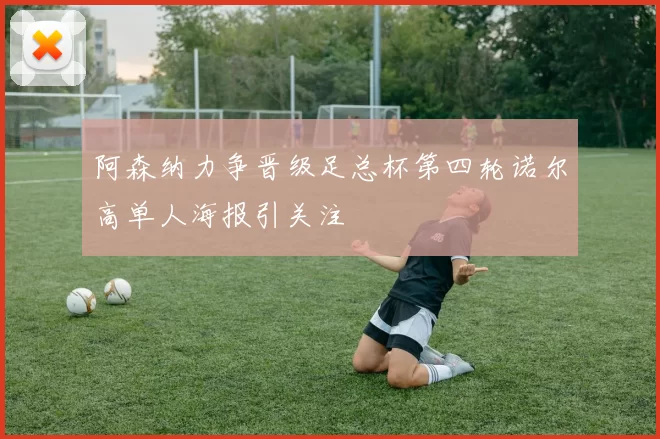 阿森纳力争晋级足总杯第四轮诺尔高单人海报引关注